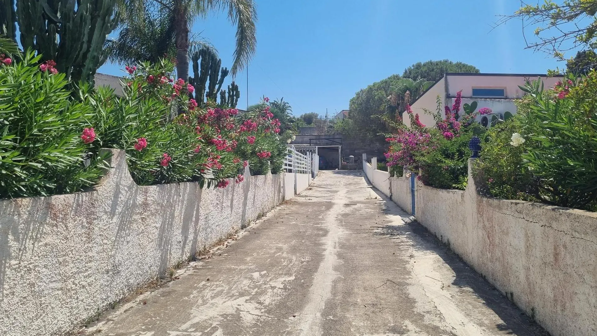 Omarvulcano1 - Proppro - Isole Eolie